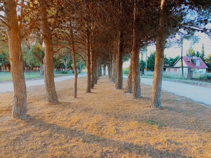  de Fotos e imágenes del Balneario Reta